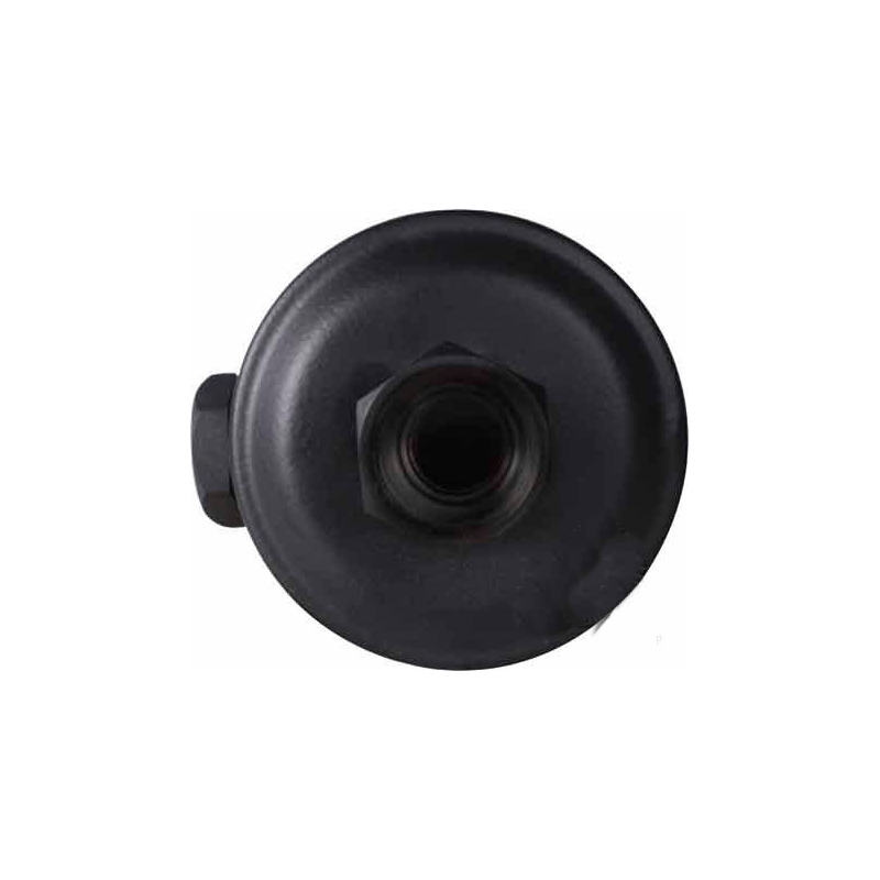 ACCUMULATOR FIOR FIOR  DIAMETER 90MM