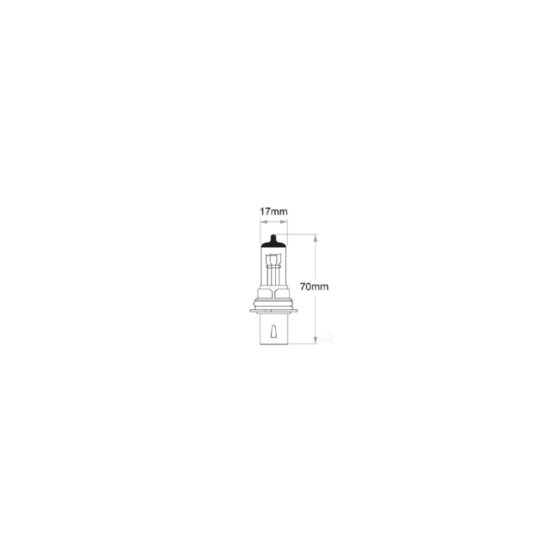 LIGHTING HB1 HALOGEN GLOBE 12 VOLT 65/45 WATT