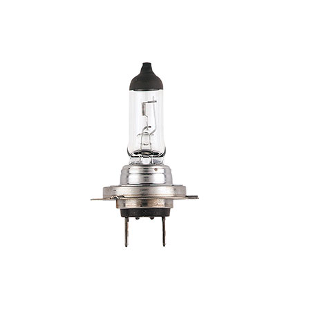 LIGHTING H7 HALOGEN GLOBE 24 VOLT 70 WATT PLUS 100