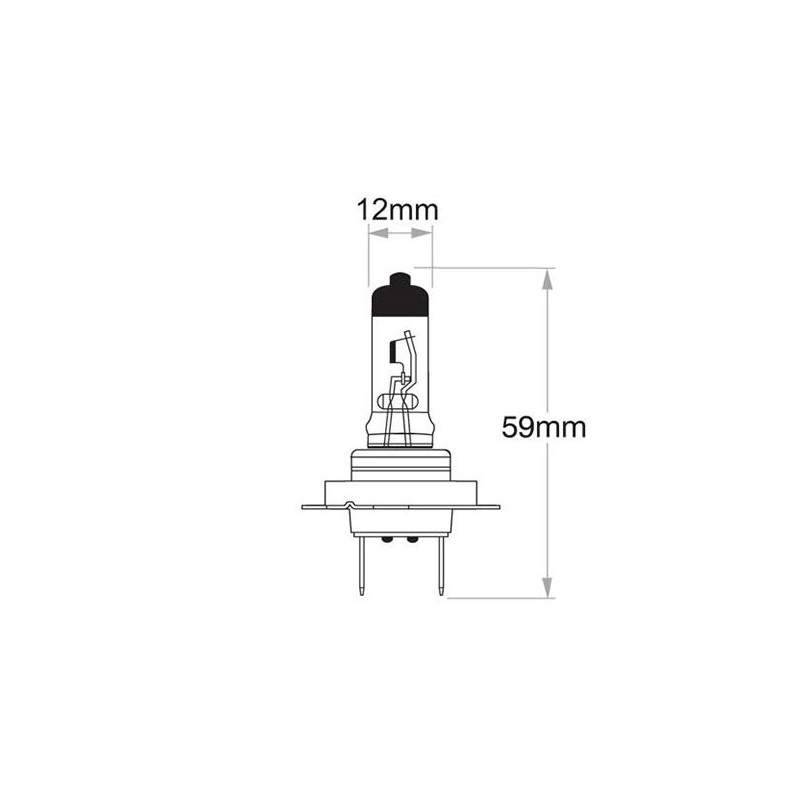 LIGHTING H7 HALOGEN GLOBE 12 VOLT 55 WATT PLUS 100