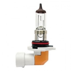 LIGHTING H10 HALOGEN GLOBE 12 VOLT 45 WATT