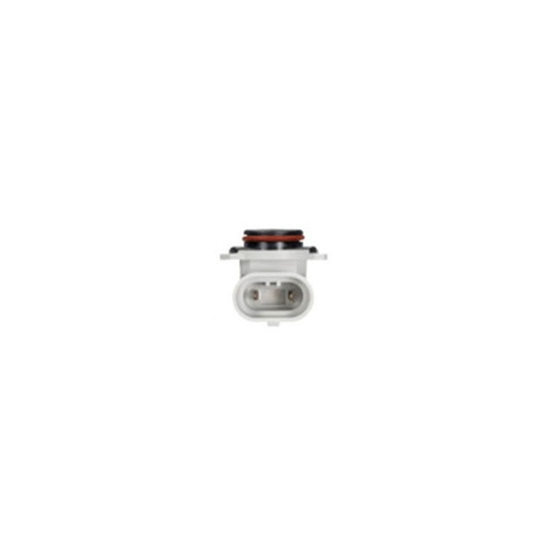 LIGHTING H10 HALOGEN GLOBE 12 VOLT 45 WATT