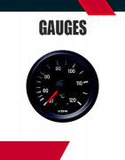 Gauges