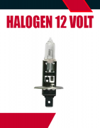 Halogen 12 Volt